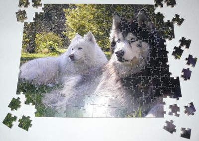 Puzzle perros